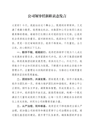 公司领导任新职表态发言