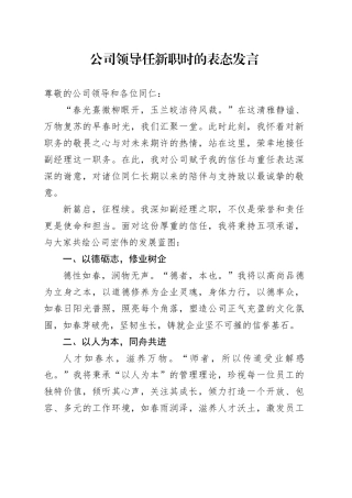 公司领导任新职时的表态发言