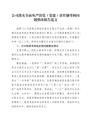 公司落实全面从严治党（党建）责任制考核问题整改报告20240322