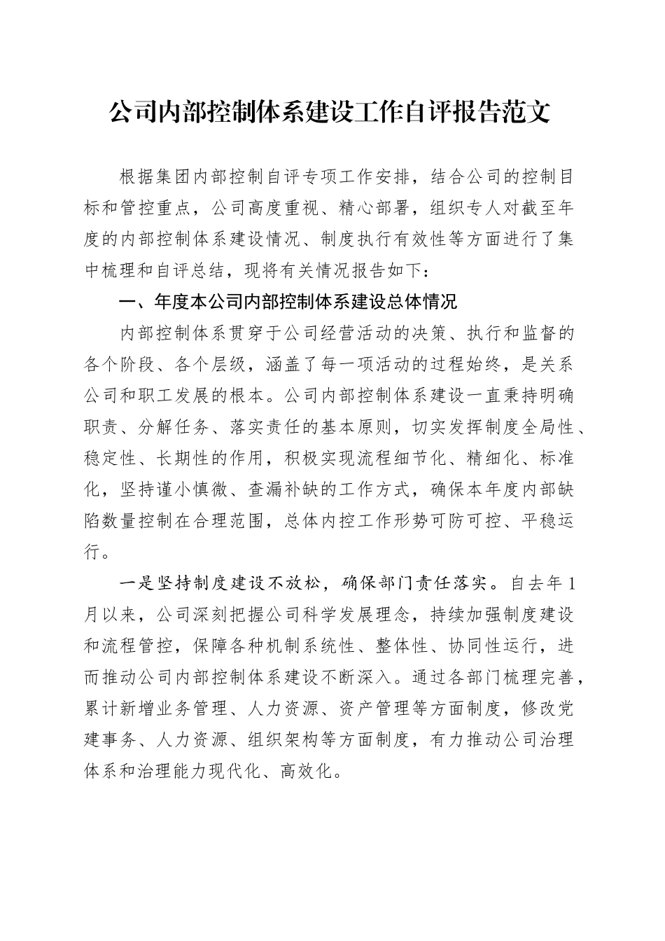 公司内部控制体系建设工作自评报告企业工作汇报总结_第1页