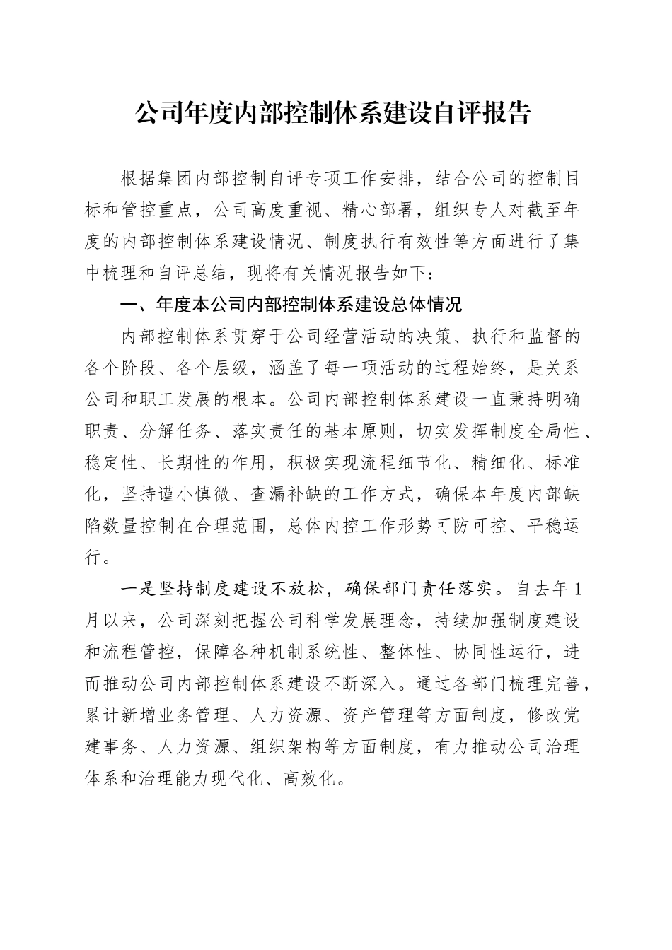 公司年度内部控制体系建设自评报告_第1页
