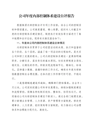 公司年度内部控制体系建设自评报告
