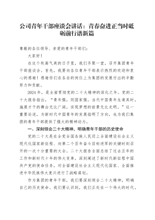公司青年干部座谈会讲话：青春奋进正当时 砥砺前行谱新篇20241009