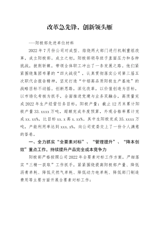 公司-先进单位材料