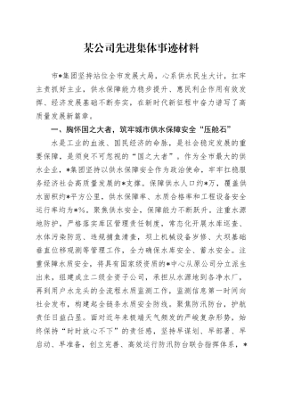 公司先进集体事迹材料