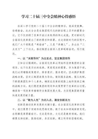 公司学习二十届三中全会精神心得感悟