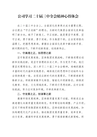 公司学习二十届三中全会精神心得体会国有企业研讨发言材料20240802