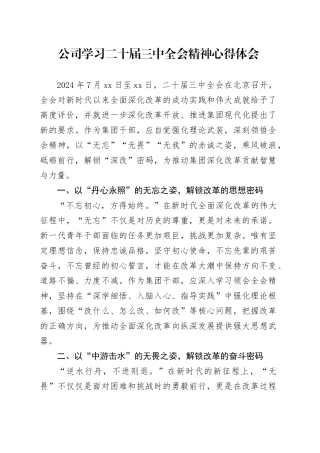 公司学习二十届三中全会精神心得体会企业研讨发言材料20240821