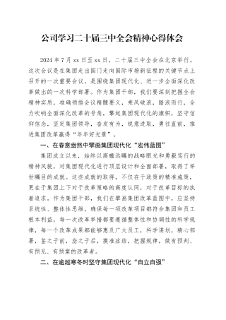 公司学习二十届三中全会精神心得体会企业研讨发言材料20240830