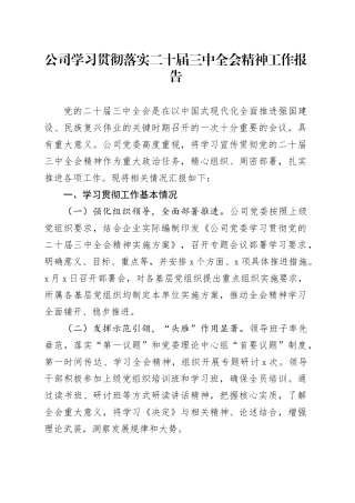 公司学习贯彻落实二十届三中全会精神工作报告企业总结汇报20240911