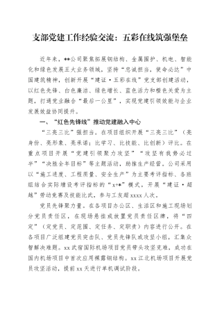 公司支部党建工作经验交流：五彩在线 筑强堡垒