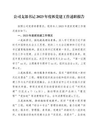 公司支部书记2023年度抓党建工作述职报告