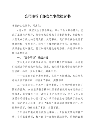 公司主管干部安全事故检讨书