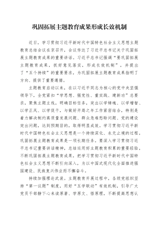 巩固拓展主题教育成果 形成长效机制