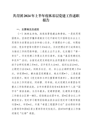 共青团2024年上半年度抓基层党建工作述职报告