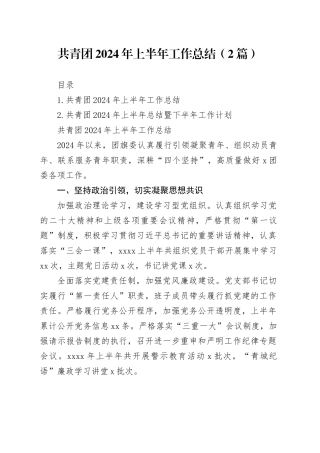 共青团2024年上半年工作总结（2篇）