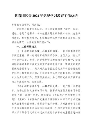 共青团区委2024年党纪学习教育工作总结汇报报告20240812