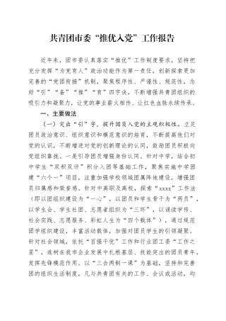 共青团市委“推优入党”工作报告总结汇报20241009