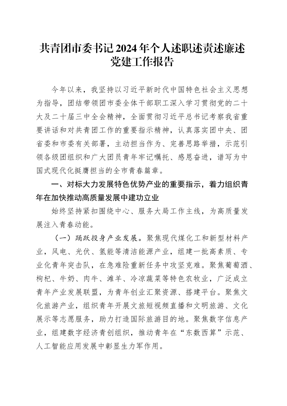共青团市委书记2024年个人述职述责述廉述党建工作报告20241108_第1页