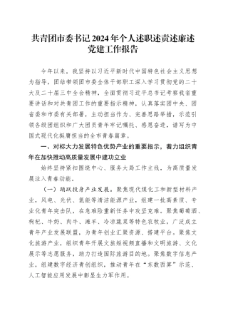 共青团市委书记2024年个人述职述责述廉述党建工作报告20241108