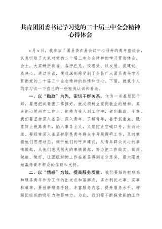共青团团委书记学习党的二十届三中全会精神心得体会20241108