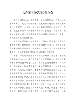 共青团团章学习心得