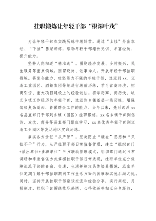 挂职锻炼让年轻干部“根深叶茂”