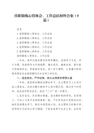 挂职锻炼心得体会、工作总结材料合集（5篇）