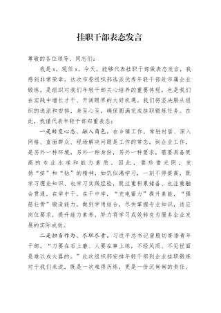 挂职干部表态发言