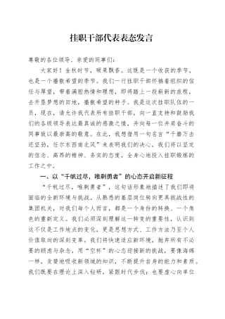 挂职干部代表表态发言