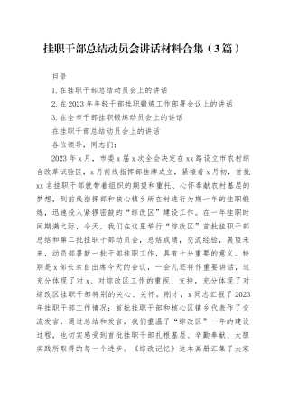 挂职干部总结动员会讲话材料合集（3篇）