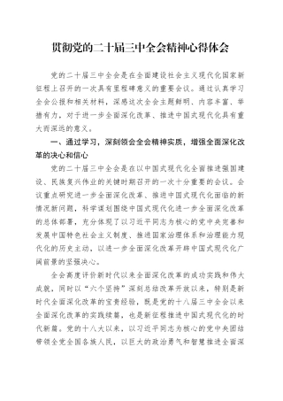 贯彻党的二十届三中全会精神心得体会20240807