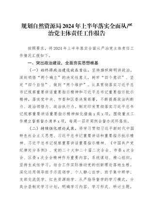 规划自然资源局2024年上半年落实全面从严治党主体责任工作报告汇报报告20240717