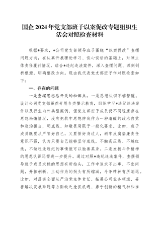 国企2024年党支部班子以案促改专题组织生活会对照检查材料