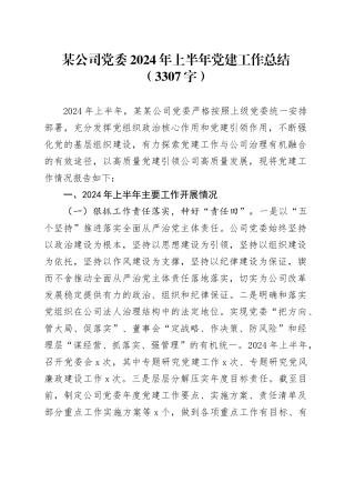 国企2024年上半年党建工作总结（3307字）