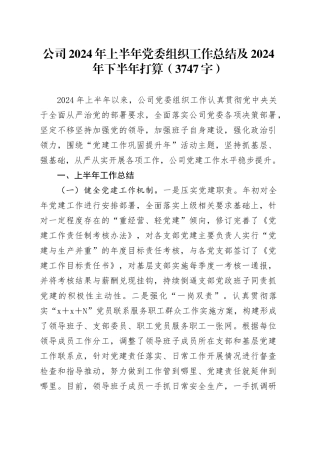 国企2024年上半年党委组织工作总结及2024年下半年打算（3747字）