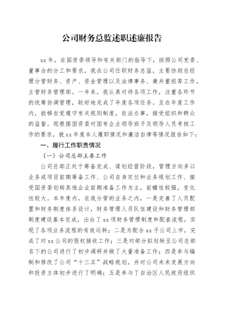 国企财务总监述职述廉报告4900字