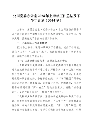 国企党委办公室2024年上半年工作总结及下半年计划（3344字）