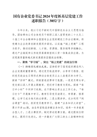 国企党委书记2024年度抓基层党建工作述职报告（3852字）