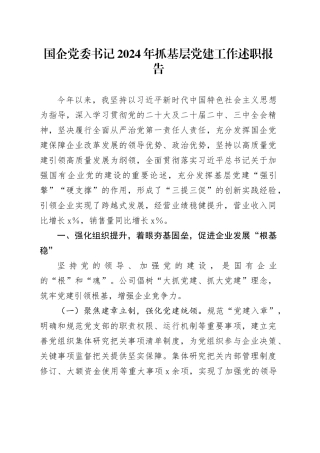 国企党委书记2024年抓基层党建工作述职报告汇报公司20241101