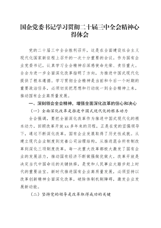 国企党委书记学习贯彻二十届三中全会精神心得体会20240722