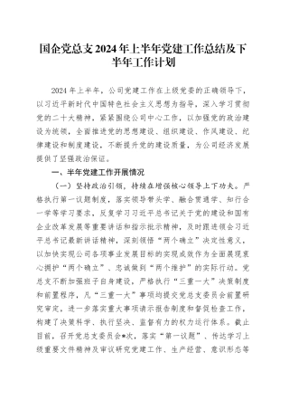 国企党总支2024年上半年党建工作总结及下半年工作计划20240724