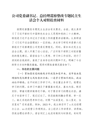 国企副书记、总经理巡察整改专题民主生活会个人对照检查4500字