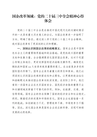 国企改革领域：党的二十届三中全会精神心得体会