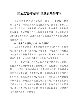 国企公司党建引领高质量发展典型经验总结