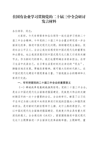 国企公司二十届三中全会研讨发言2300字