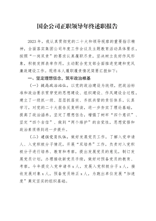 国企公司正职领导年终述职报告
