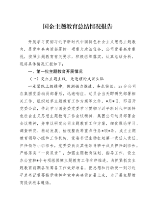 国企公司主题教育总结报告3800字