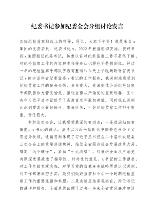 国企纪委书记参加纪委全会分组讨论发言