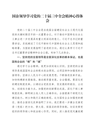 国企领导学习党的二十届三中全会精神心得体会